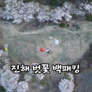 574th] 진해 벗꽃 백패킹 / 장복산-덕주봉-안민고개(04월07일~08일)