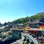 [부산/기장] 해동용궁사 : 한국에서 가장 아름다운 사찰