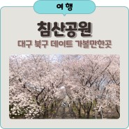대구 북구 가볼만한곳 침산공원, 봄데이트 벚꽃 명소 포토존 웨이팅 주차장
