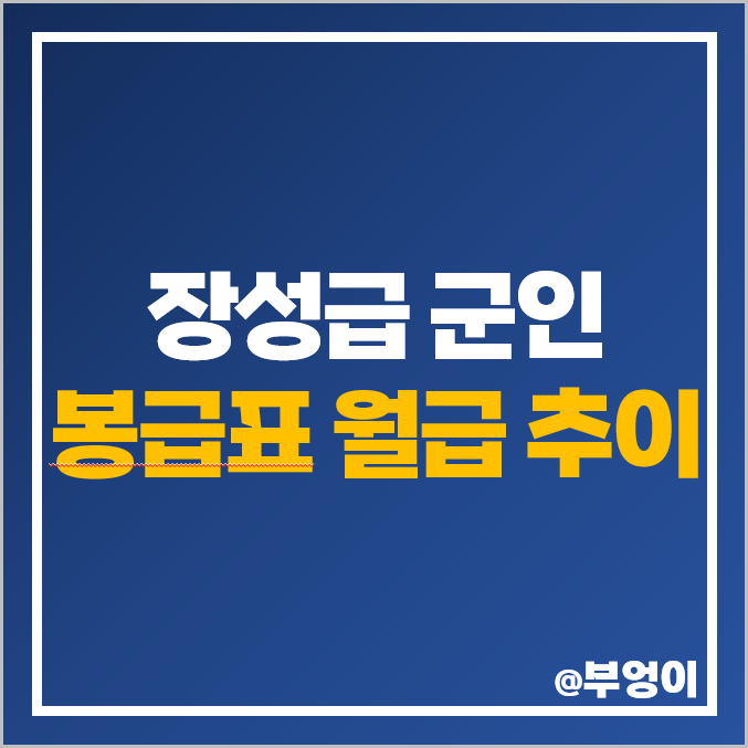 육군 장군 장성 군인 월급 추이 준장 소장 중장 대장 봉급표 : 네이버 블로그