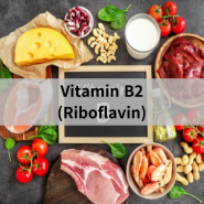 Vitamin B2(Riboflavin) - 인천터미널정형외과, 신사터미널마취통증의학과