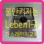 불안켜지는Leben1구 가스레인지 교체하고싶을때