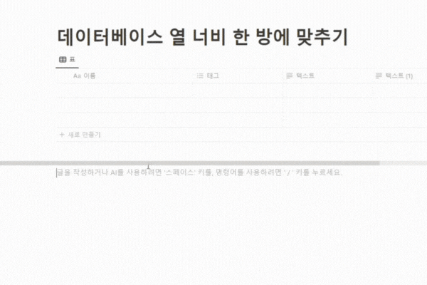 노션 데이터베이스 열 너비 드래그하지 않고 정확하게 조정하는 방법