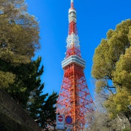 도쿄여행 가면 꼭 가야 되는 곳 바로 도쿄타워 스팟 총정리