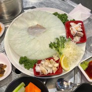 싱싱한 갑오징어 맛보기 #통통한오징어 발산역점