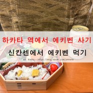 일본 큐슈 여행 - 후쿠오카 하카타역에서 에키벤 사기 & 신칸센에서 에키벤 먹기