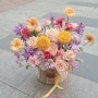 요즘 인기 꽃바구니 영등포 트랜디한 감성꽃집 당산역 꽃집 꽃과정원