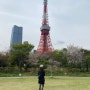 2日::지금은 도쿄 여행코스! 해리포터 스튜디오, 시바공원, 아자부다힐스 도쿄타워
