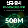 스카이라이프 500m 메가인터넷 상품 신규 출시