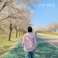 하남 당정뜰 벚꽃 명소지만 원래도 예쁘다!