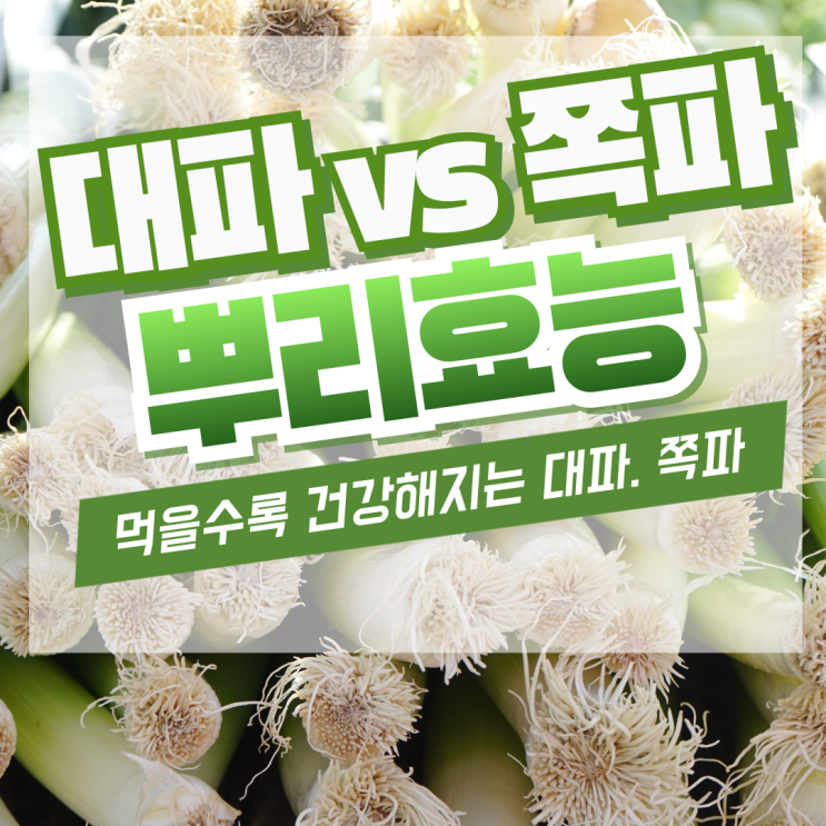 먹을수록 건강해지는 대파 vs 쪽파뿌리의 효능과 보관법 : 네이버 블로그