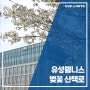 [유성웰니스] 도보 1분 벚꽃 산책로 대전 봄나들이