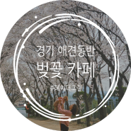 강서 헤이더그린, 경기도 애견동반 벚꽃 카페