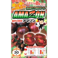 난토종묘 강한맛 지브라 토마토 AMAZON (아마존) 토마토 씨앗