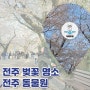 전주 동물원 벚꽃 명소 벚꽃길 봄 데이트 코스 추천