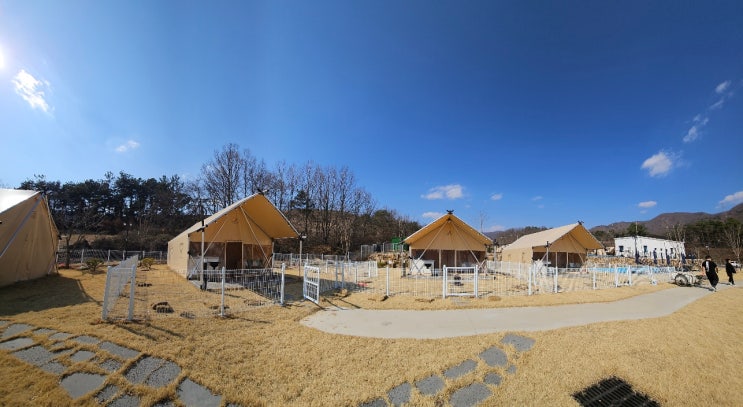 경북 대구근교 글램핑 [왜관하이스트글램핑장] : 네이버 블로그