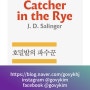 호밀밭의 파수꾼 제롬 데이비드 샐린저 공경희 옮김 /The Catcher in the Rye J.D.Salinger