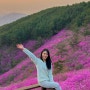 진달래가 만개한 창원 천주산 일출 산행(24.04.10)