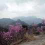 등산하기 좋은 봄날 북한산 종주 산행... 240411