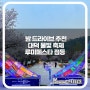 2024 대덕 물빛 축제 루미페스타 점등 야간 경관 대전 밤에 가볼 만한 곳
