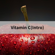 Vitamin C(Intro) - 인천터미널정형외과, 신사터미널마취통증의학과