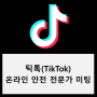[국제활동] 틱톡(TikTok) 온라인 안전 전문가 미팅