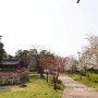 김포 운양동 벚꽃놀이 모담산 '모담공원' 정상 전망대까지 하이킹 산책 :: 높이, 난이도, 시간