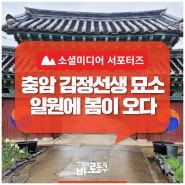 대청호 둘레길에 있는 「충암 김정 선생 묘소」 아름다운 봄을 걷다!