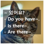 Do you have~. Is there~. Are there~. ~ 있어요?