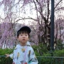 4월 에버랜드 동물원 & 벚꽃시즌 평일방문 아이옷차림