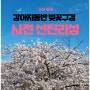 [사천 선진리성] 2024 벚꽃 구경(feat. 올해도 귀여운 강아지, 로또)