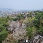 봄바람 타고~ 삼청공원 말바위(벼락바위)