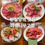 대구 반월당역 맛집 " 야끼니꾸고점 " 1인 야키니쿠 세트로 혼밥, 혼술 점심식사도 가능