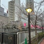 도쿄 숙소 지하철 2박3일 우중충한 날씨의 벚꽃명소 메구로강