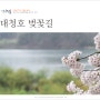 대전 가볼만한곳 대청호 둘레길 대전 벚꽃 축제 명소