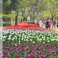 김해 연지공원 튤립 벚꽃 명소 4월 피크닉 장소로 추천