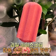 과일 아이스크림 따옴 수박 과연 맛은?