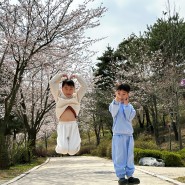 경기도 안산 대부도 아이와 가볼만한곳 바다향기수목원 벚꽃 입장료