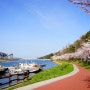 북평 갯목 벚꽃- 사진찍기 & 동해시 풍경 로드