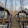 대전여행 장태산자연휴양림 숲속의집(잣나무집) 솔직후기