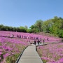 서울 꽃축제 갈만한곳 불암산 나비정원 철쭉제 카페 포레스트 주차정보