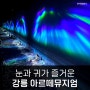 강릉가볼만한곳 아르떼뮤지엄 영상의 아름다움에 빠지는 곳