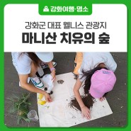 [마니산 치유의 숲] 강화군 대표 웰니스 관광지, '마니산 치유의 숲’ 프로그램 운영 개시!