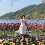 대구여행 대구근교가볼만한곳 옥연지 송해공원 튤립 벚꽃 조합 최고