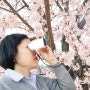 과천 경마공원 벚꽃축제 여행필수템 망원경카메라 캐논 파워샷 줌