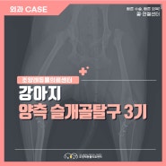 강아지 양측 슬개골 탈구 3기 수술 [부산조양래동물의료센터]