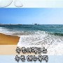 속초 여행 코스 속초 해수욕장 해변에서 즐기는 동해바다, 주차장 정보