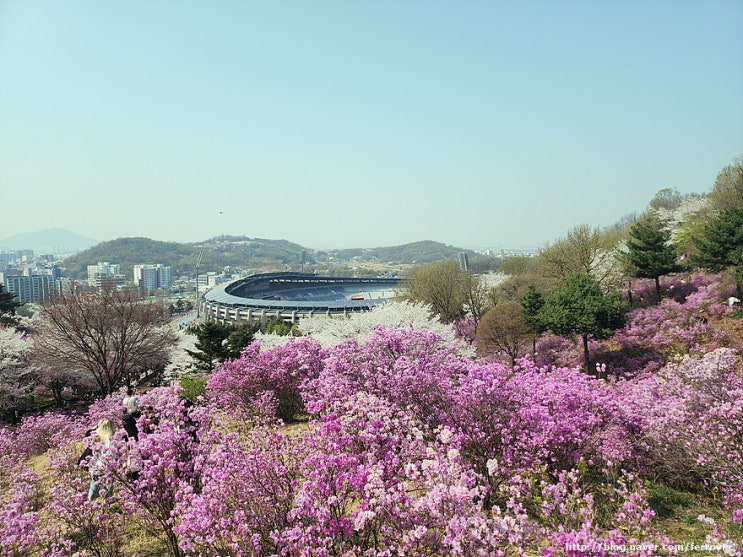 원미산 진달래 - 서울7호선, 서해선 부천종합운동장역