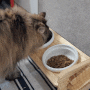 나드리공방 고양이 밥그릇 원목 높이조절식탁