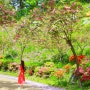 대전 겹벚꽃 튤립 꽃구경 오월드 플라워랜드